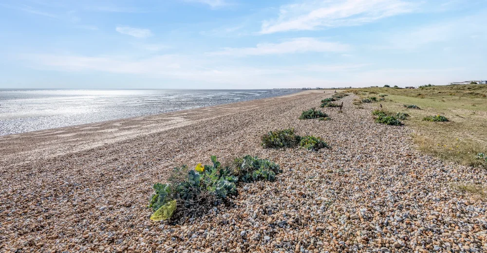 Greatestone beach